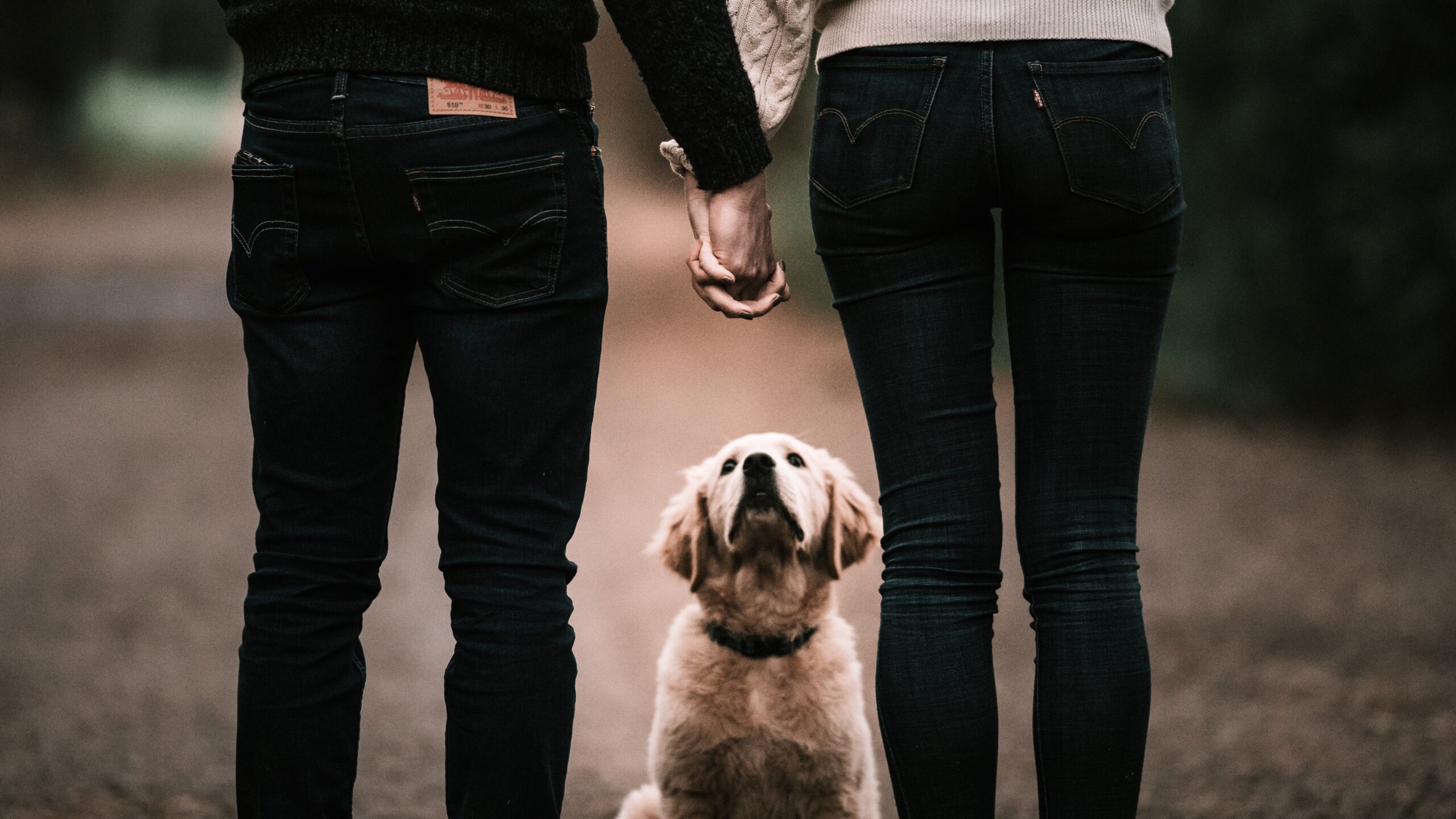 Building a Strong Support System: The Role of Friendship in Partnership