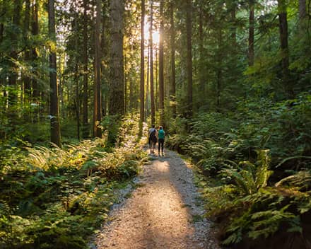 Workshop-Retreats Building Self-Esteem Recommendations