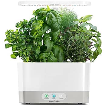 AeroGarden Harvest Indoor Garden Hydroponic System with LED - Grow Light and Herb Kit