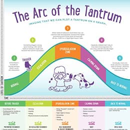 Temper Tantrums: The Ultimate Guide To Dealing With Toddlers | Daily Infographic