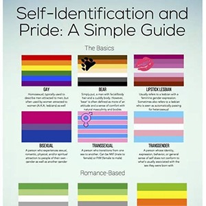 A simple guide to some of the LGBTQ+ flags