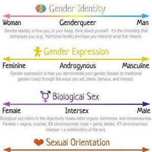 Gender Identity Worksheet