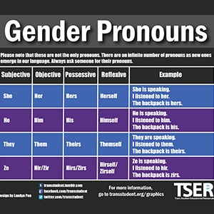 Gender Pronouns