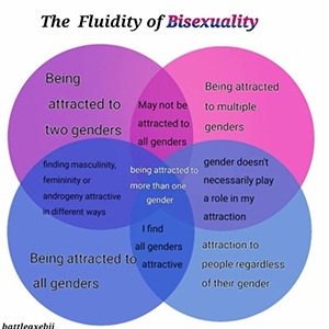 The Fluidity of Bisexuality
