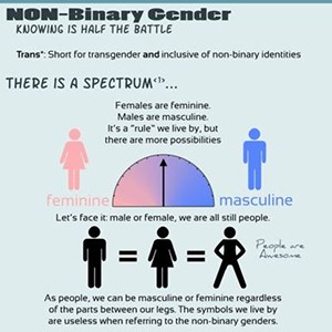 The Gender Debate Non-Binary Gender