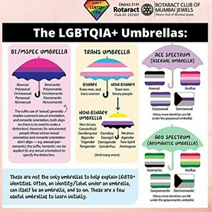 The LGBTQIA+ Umbrellas