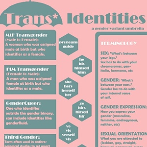 Trans* Identities