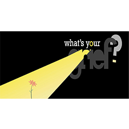 In this grief podcast, mental health professionals Eleanor Haley, MS, and Litsa Williams, MA, LCSW-C, known for their work on the website and book 'What's Your Grief', comprehensively explore the complex and intricate journey of navigating life after loss. With a focus on breaking down the complexities of grief into digestible topics, Haley and Williams cover a wide range of subjects, from grief theory to coping strategies.