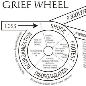 Grief Wheel