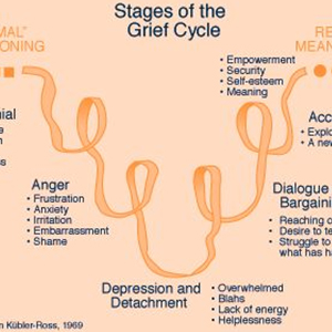 Stages of the Grief Cycle Worksheet