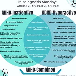 The ADHD Subtypes